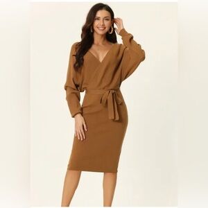 Nicole miller New York women sweater dress belted brown fall color size xl